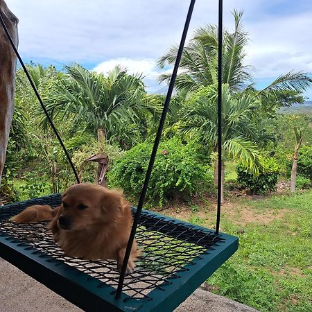 Hostel Santa Cruz Ometepe Altagracia Kültér fotó