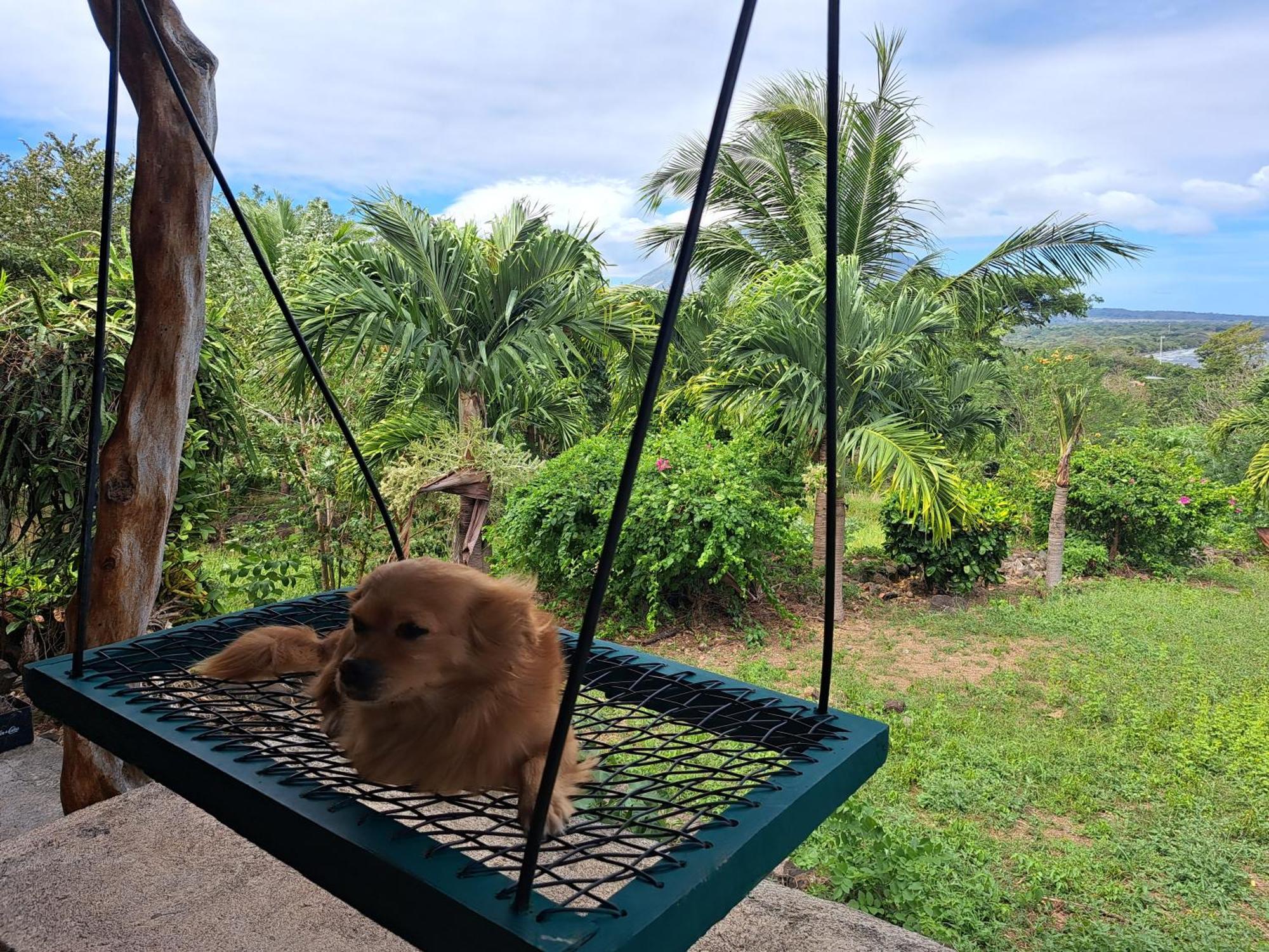 Hostel Santa Cruz Ometepe Altagracia Kültér fotó